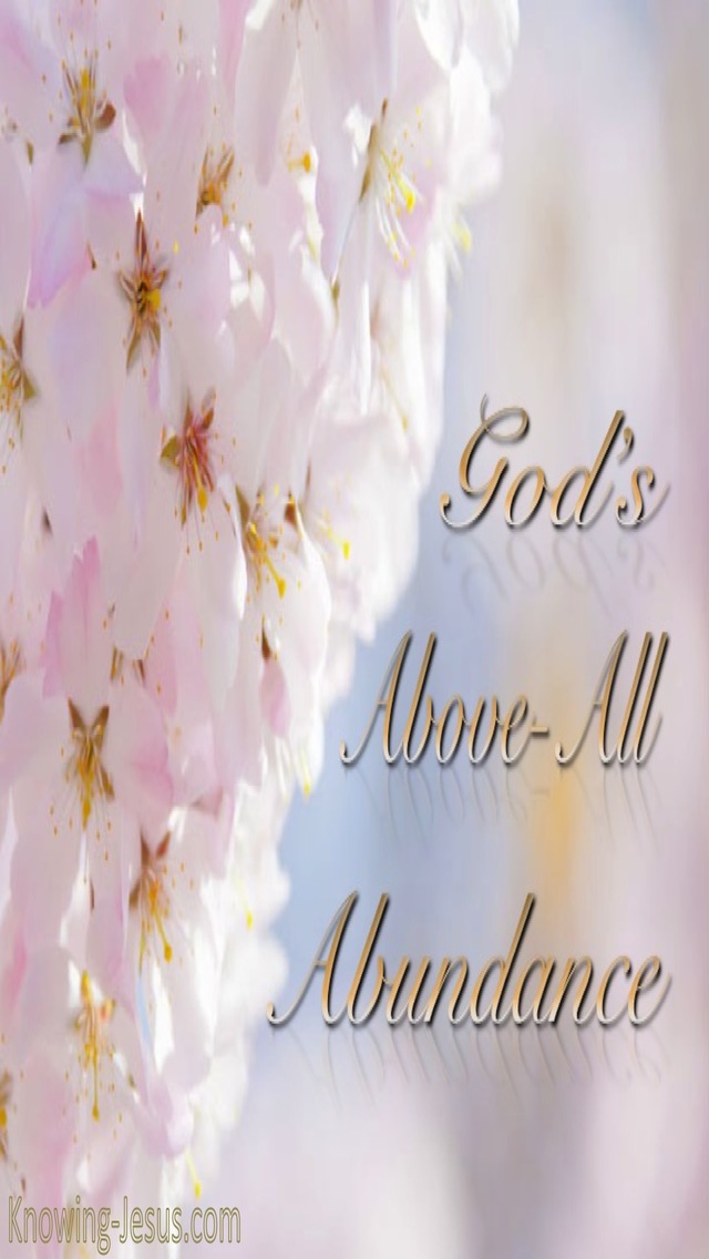 Above All Abundance (devotional)12-04 (pink)